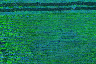 Boşluk duvar kağıdını, grunge arkaplanını, soyut renkli doku arkaplanını kopyala