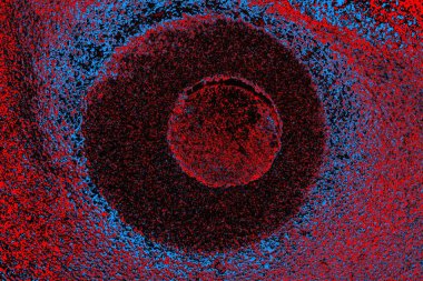 parlak kırmızı doku arkaplanı, boşluk duvar kağıdını kopyala