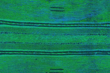 Boşluk duvar kağıdını, grunge arkaplanını, soyut renkli doku arkaplanını kopyala