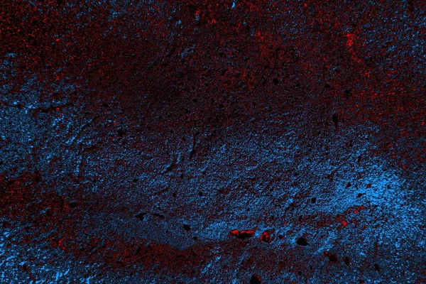 soyut mavi ve kırmızı doku, grunge arkaplan, boşluk duvar kağıdını kopyala