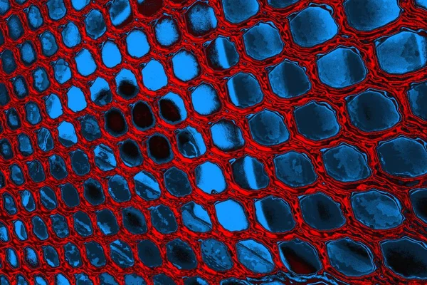 soyut doku, grunge arkaplan, boşluk duvar kağıdını kopyala     