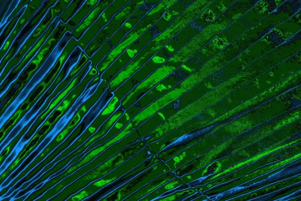 Boşluk duvar kağıdını, grunge arkaplanını, soyut renkli doku arkaplanını kopyala