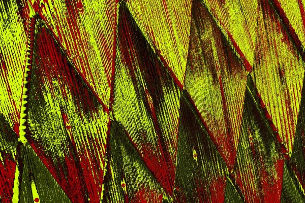  grunge arkaplanı, boşluk duvar kağıdını kopyala, soyut renkli doku arkaplanı