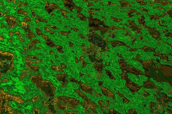 soyut yeşil doku arkaplanı, boşluk duvar kağıdını kopyala