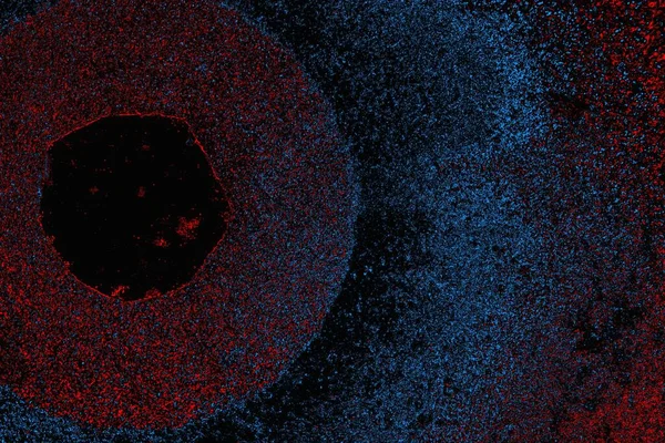 soyut mavi ve kırmızı doku, grunge arkaplan, boşluk duvar kağıdını kopyala