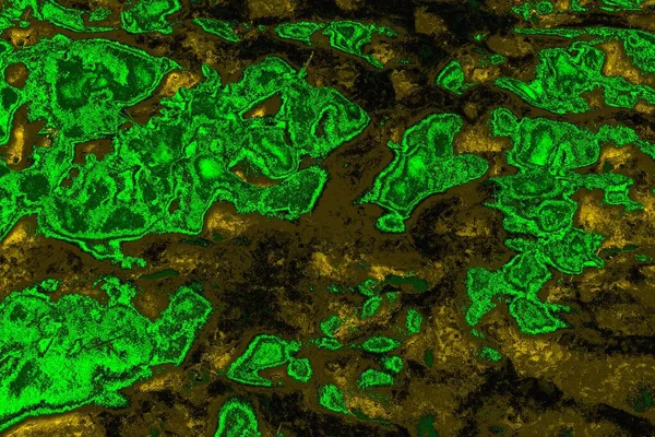 soyut yeşil doku arkaplanı, boşluk duvar kağıdını kopyala