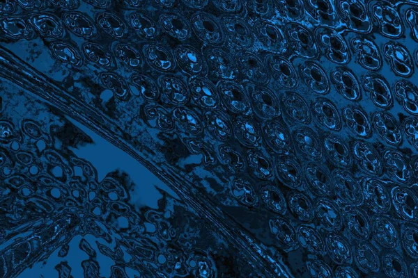 soyut doku, grunge arkaplan, boşluk duvar kağıdını kopyala      