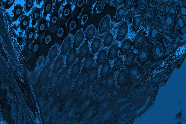 soyut doku, grunge arkaplan, boşluk duvar kağıdını kopyala      