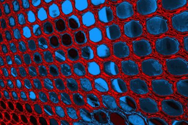 soyut doku, grunge arkaplan, boşluk duvar kağıdını kopyala     