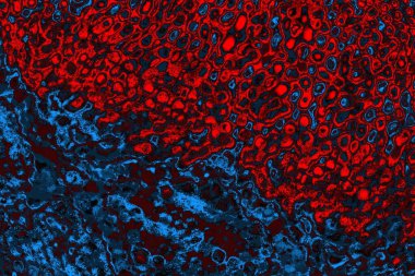 soyut mavi ve kırmızı doku, grunge arkaplan, boşluk duvar kağıdını kopyala