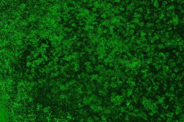 Soyut renk dokusu, grunge arkaplanı, boşluk duvar kağıdını kopyala