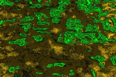 soyut yeşil doku arkaplanı, boşluk duvar kağıdını kopyala