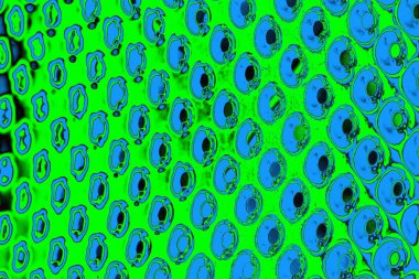 soyut yeşil doku, arkaplan, duvar kağıdını kopyala