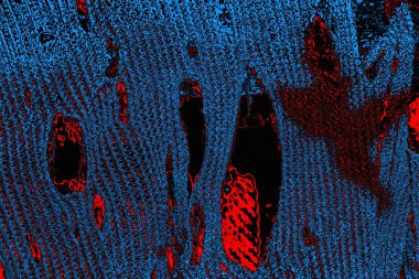 soyut mavi ve kırmızı doku, grunge arkaplan, boşluk duvar kağıdını kopyala