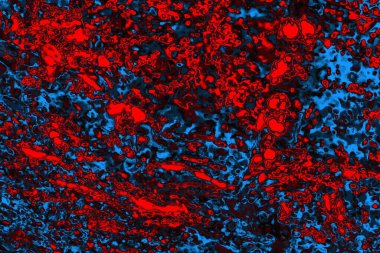 soyut mavi ve kırmızı doku, grunge arkaplan, boşluk duvar kağıdını kopyala