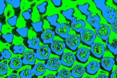 soyut yeşil doku, arkaplan, duvar kağıdını kopyala