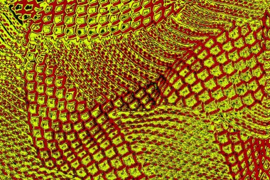 Boşluk duvar kağıdını, grunge arkaplanını, soyut renkli doku arkaplanını kopyala