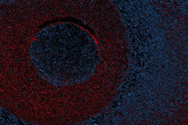 soyut mavi ve kırmızı doku, grunge arkaplan, boşluk duvar kağıdını kopyala