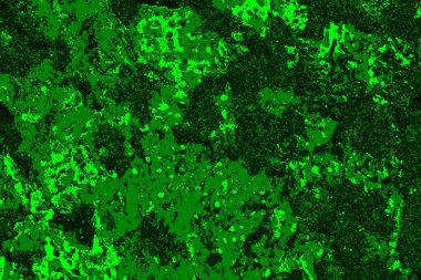 soyut yeşil doku arkaplanı, boşluk duvar kağıdını kopyala