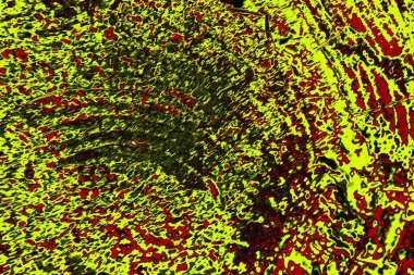  grunge arkaplanı, boşluk duvar kağıdını kopyala, soyut renkli doku arkaplanı