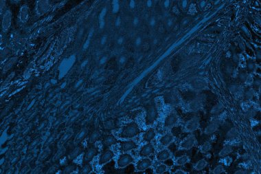 soyut doku, grunge arkaplan, boşluk duvar kağıdını kopyala      