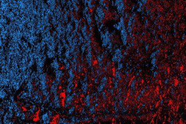 soyut mavi ve kırmızı doku, grunge arkaplan, boşluk duvar kağıdını kopyala