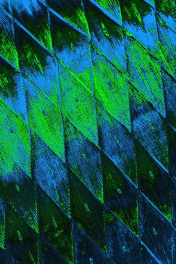 Boşluk duvar kağıdını, grunge arkaplanını, soyut renkli doku arkaplanını kopyala