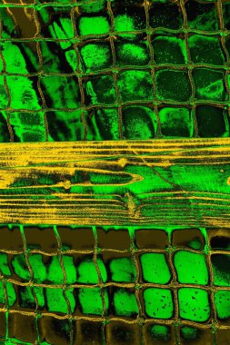 Soyut renk dokusu, grunge arkaplanı, boşluk duvar kağıdını kopyala