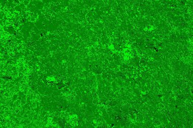 soyut yeşil doku arkaplanı, boşluk duvar kağıdını kopyala