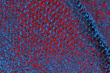 soyut mavi ve kırmızı doku, grunge arkaplan, boşluk duvar kağıdını kopyala