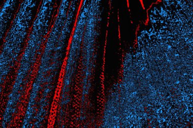 soyut mavi ve kırmızı doku, grunge arkaplan, boşluk duvar kağıdını kopyala