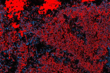 Renkli doku arkaplanı, boşluk duvar kağıdını kopyala