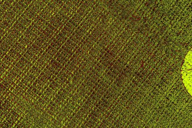 Boşluk duvar kağıdını, grunge arkaplanını, soyut renkli doku arkaplanını kopyala