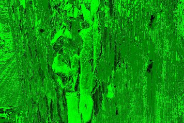 soyut yeşil doku arkaplanı, boşluk duvar kağıdını kopyala