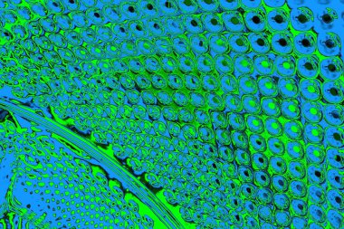 soyut yeşil doku, arkaplan, duvar kağıdını kopyala