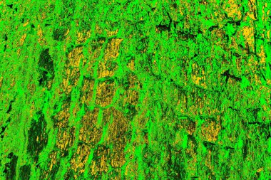 soyut yeşil doku arkaplanı, boşluk duvar kağıdını kopyala