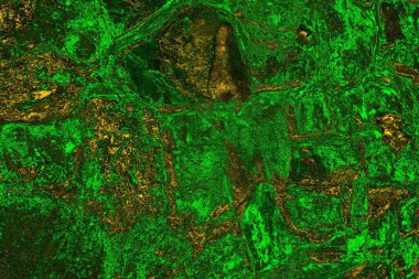 soyut yeşil doku arkaplanı, boşluk duvar kağıdını kopyala