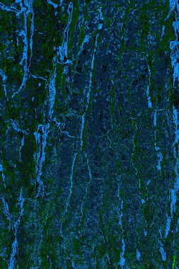 Boşluk duvar kağıdını, grunge arkaplanını, soyut renkli doku arkaplanını kopyala