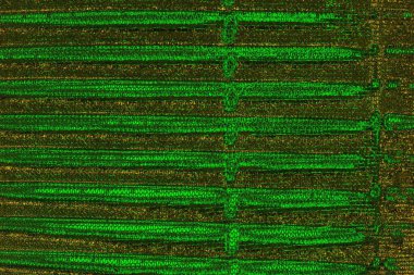 Soyut renk dokusu, grunge arkaplanı, boşluk duvar kağıdını kopyala