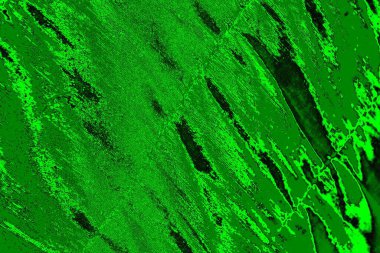 soyut yeşil doku, arkaplan, duvar kağıdını kopyala