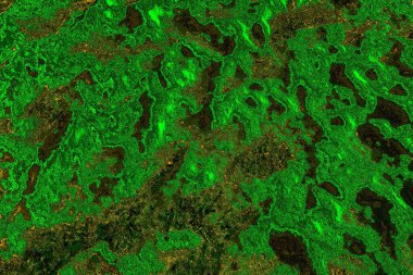 soyut yeşil doku arkaplanı, boşluk duvar kağıdını kopyala