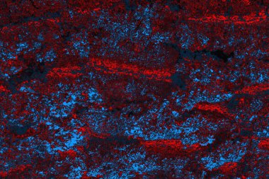 Soyut renk dokusu, grunge arkaplanı, boşluk duvar kağıdını kopyala