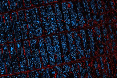 soyut mavi ve kırmızı doku, grunge arkaplan, boşluk duvar kağıdını kopyala