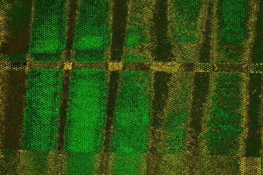 Soyut renk dokusu, grunge arkaplanı, boşluk duvar kağıdını kopyala