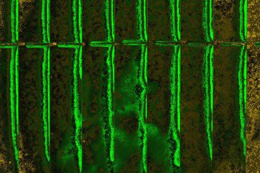 soyut yeşil doku arkaplanı, boşluk duvar kağıdını kopyala