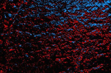 Renkli doku arkaplanı, boşluk duvar kağıdını kopyala