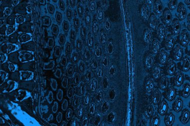 soyut doku, grunge arkaplan, boşluk duvar kağıdını kopyala      