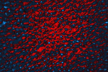 soyut doku, grunge arkaplan, boşluk duvar kağıdını kopyala