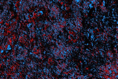 soyut mavi ve kırmızı doku, grunge arkaplan, boşluk duvar kağıdını kopyala