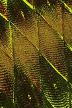  grunge arkaplanı, boşluk duvar kağıdını kopyala, soyut renkli doku arkaplanı